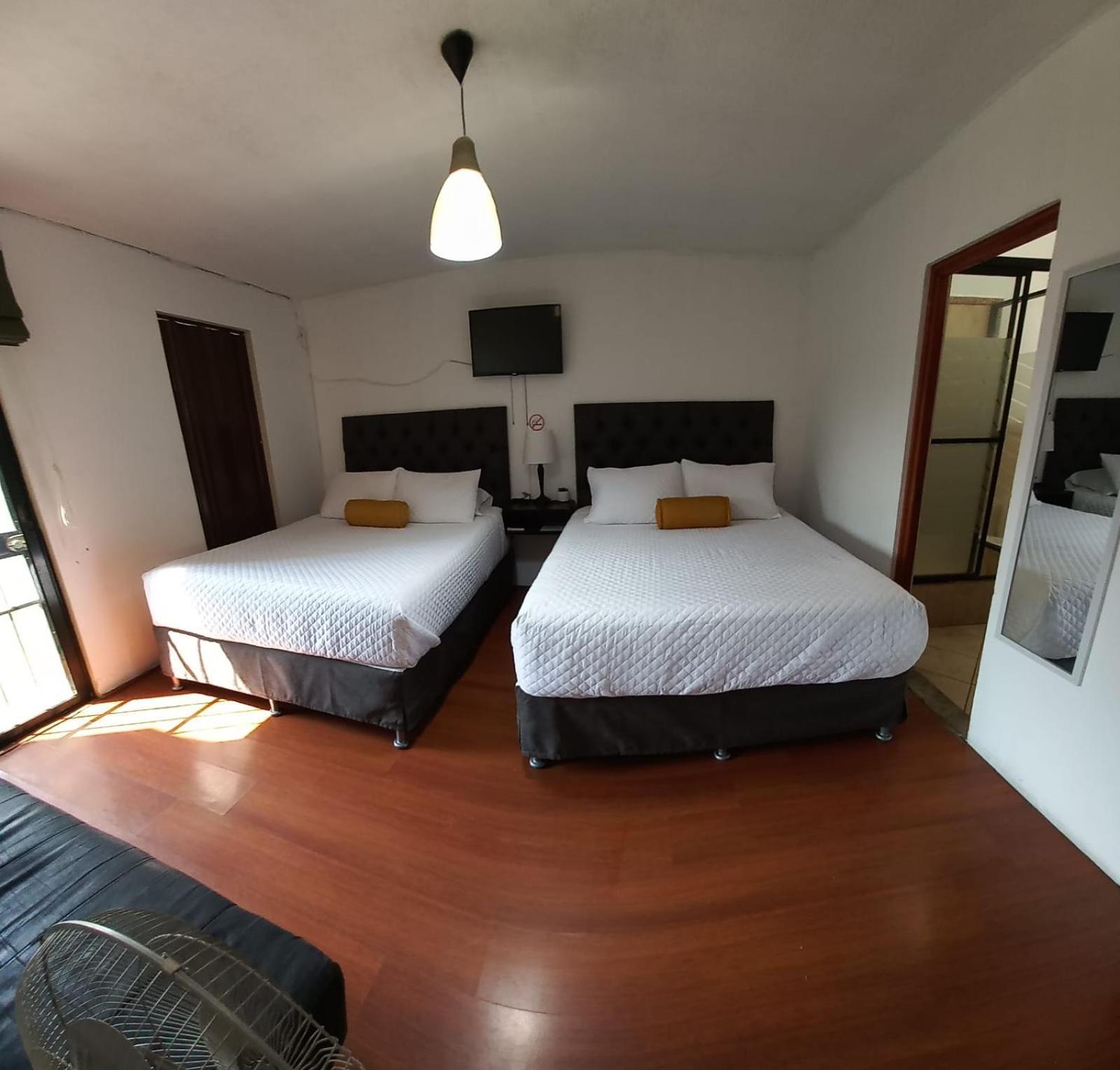 Global Airport Inn Free Shuttle Guatemala Oda fotoğraf